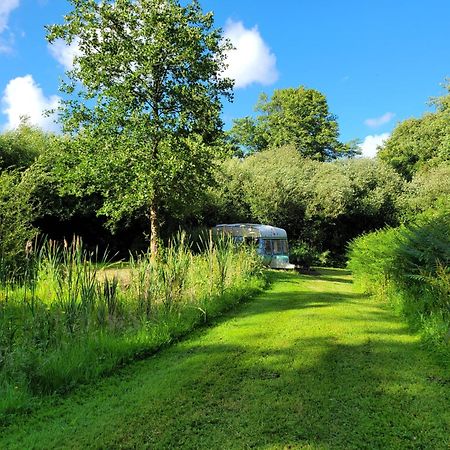 Budget Stay, In Lovely Private Setting With Rustic Charm, Log Burner, Fire Pit, Campers Kitchen & Eco Loo No Bedding Supplied Narberth Exterior foto
