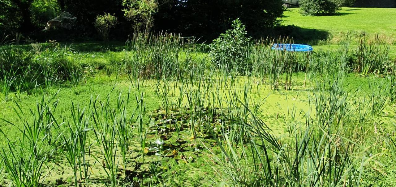 Budget Stay, In Lovely Private Setting With Rustic Charm, Log Burner, Fire Pit, Campers Kitchen & Eco Loo No Bedding Supplied Narberth Exterior foto