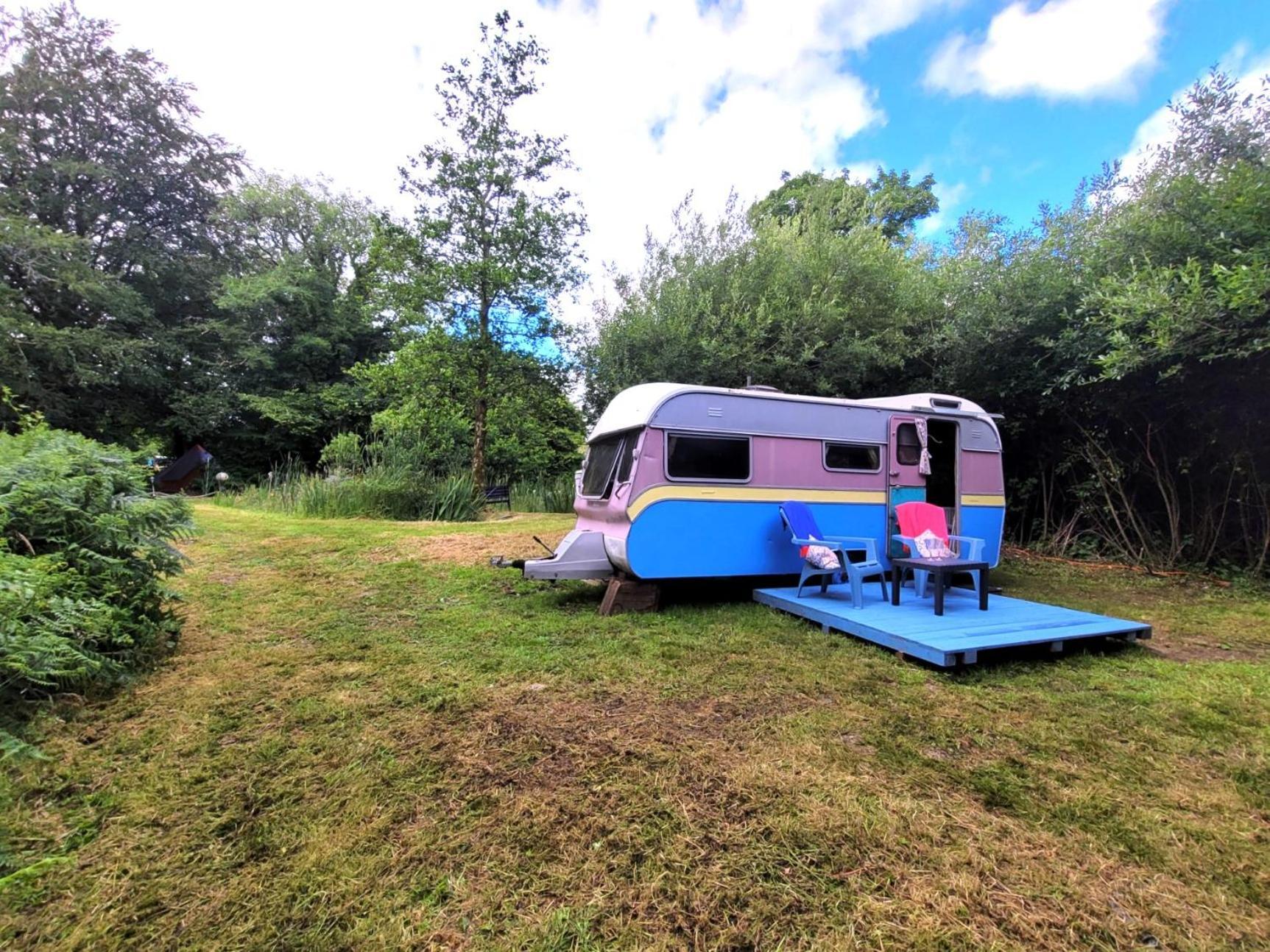 Budget Stay, In Lovely Private Setting With Rustic Charm, Log Burner, Fire Pit, Campers Kitchen & Eco Loo No Bedding Supplied Narberth Exterior foto