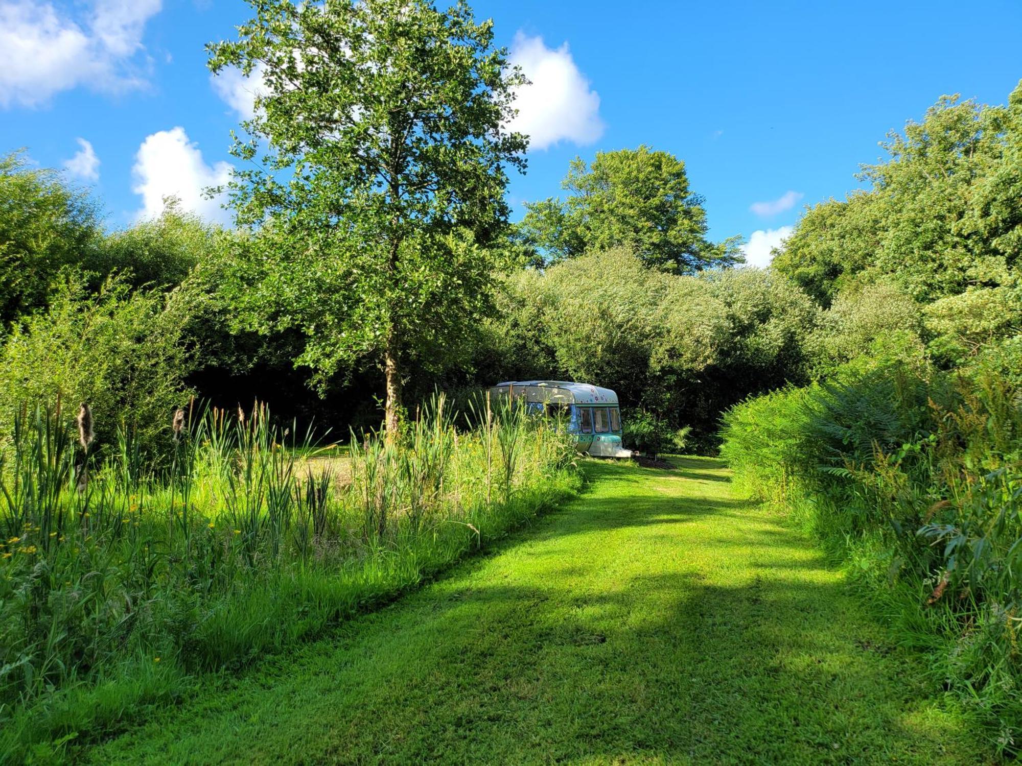 Budget Stay, In Lovely Private Setting With Rustic Charm, Log Burner, Fire Pit, Campers Kitchen & Eco Loo No Bedding Supplied Narberth Exterior foto